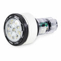 Pentair Color Microbrite LED Light (620425)