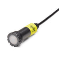 Jandy Nicheless LED Light (JLU4C24W100)