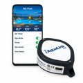 Jandy 3.0 Web Connect Interface Dev (IQ30-A)