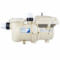 Pentair Intelliflo3 VSf with Rly Board (011066)