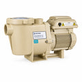 Pentair Whisperflo VSt VS Pump (011533)