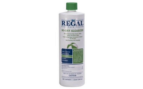 1 Qt 90 Day Algaecide
